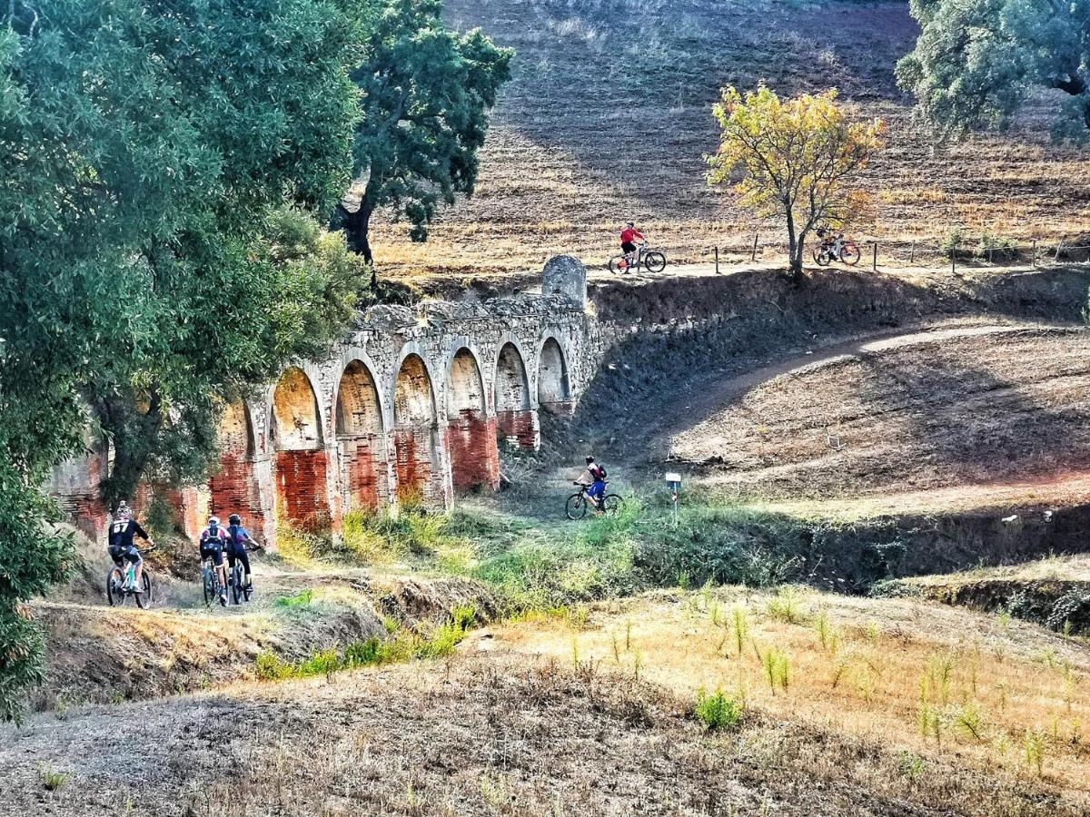 Camere Vecchia Fonte Campiglia Marittima Eksteriør billede